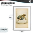 thumbnail image 4 of Stupell Industries Eclectic Maritime Bathing Society Turtle Gray Framed Print Under Glass, 17 x 23, by Grotto Studios, 4 of 8
