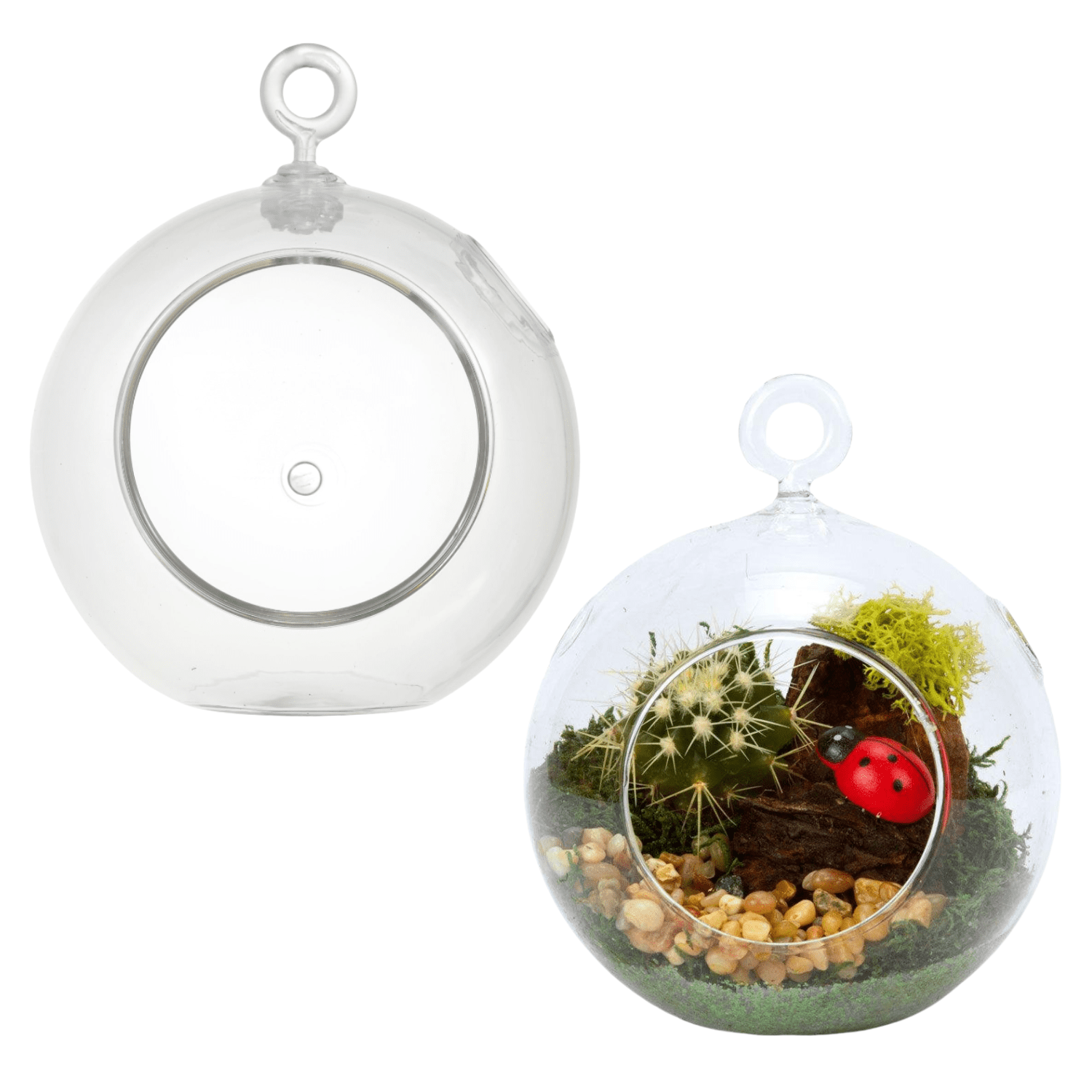 Clear Plastic Terrarium Globes, 4.5in. DIY Hanging Planter Stand Kids