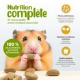 thumbnail image 4 of Living World Nourriture Complète pour Hamster, 1.5 kg, 4 of 7
