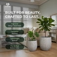 thumbnail image 3 of Worth 12" and 14.5" Round Planters, Magnesium Oxide Cement Plant Pots, Grey, 3 of 6