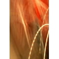 thumbnail image 2 of Millet, Karyn 23x32 Black Ornate Wood Framed with Double Matting Museum Art Print Titled - Copper Curves I, 2 of 4