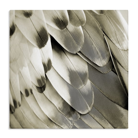 Stupell Industries Modern Canvas Art, 17 x 17, by Julia Bosco