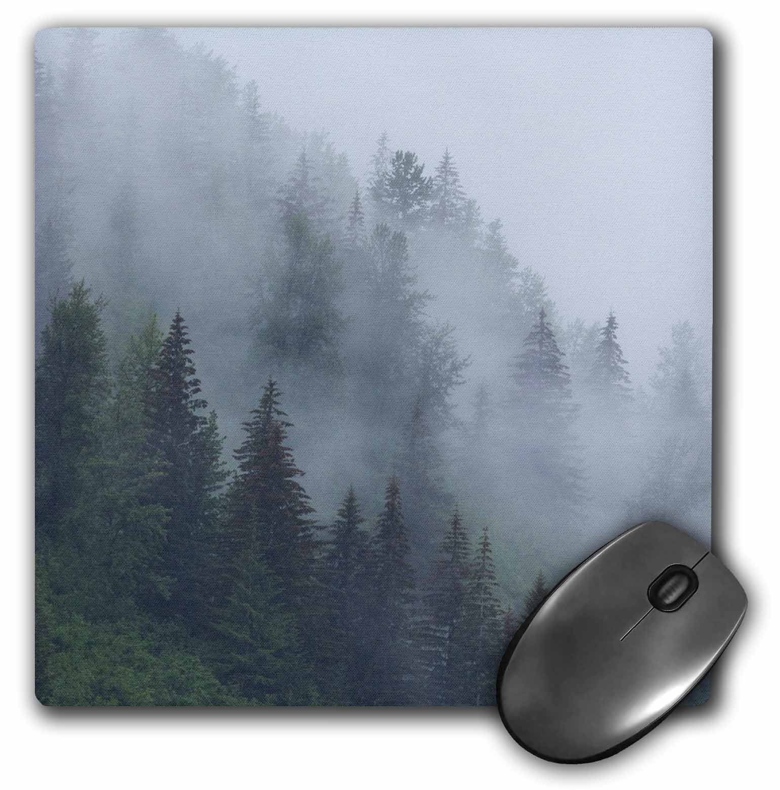 3drose Alaska Glacier Bay Np Tongass Nf Fog Shrouds Trees On Steep Slopes Mouse Pad 8 By 8 Inch Walmart Com Walmart Com