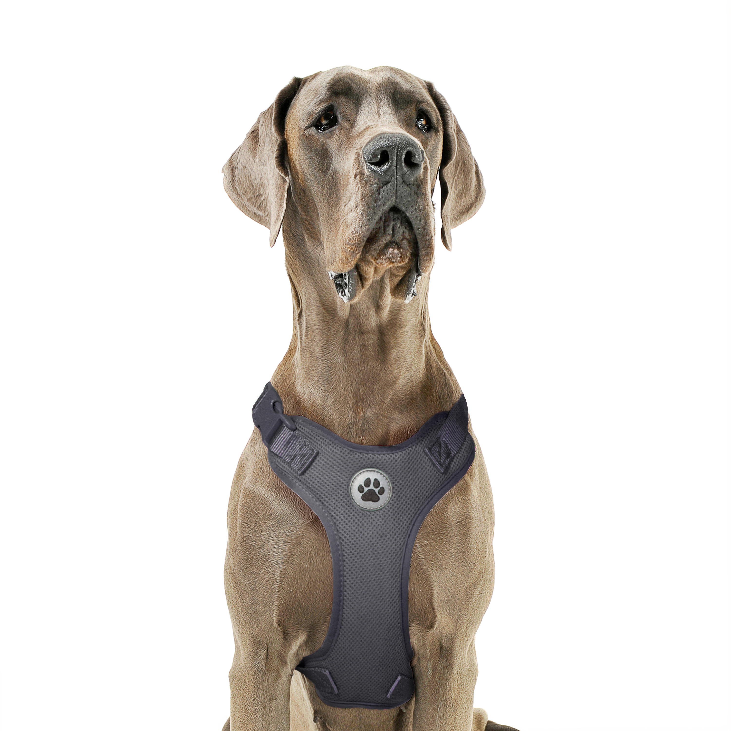 Vibrant Life Polyester Mesh Adjustable and Reflective Dog Walking Harness, Gray, XL