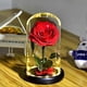 thumbnail image 3 of Rose That Lasts Eternal Forever Preserved Flower in Glass Dome Lamp for Valentine's Mother's Day Gi, 3 of 5