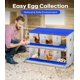 thumbnail image 2 of QinaQin Caja nido para gallinas de 6, 8 o 10 huecos, fabricada en acero galvanizado resistente al óxido, fácil recolección de huevos y limpieza, 2 of 7
