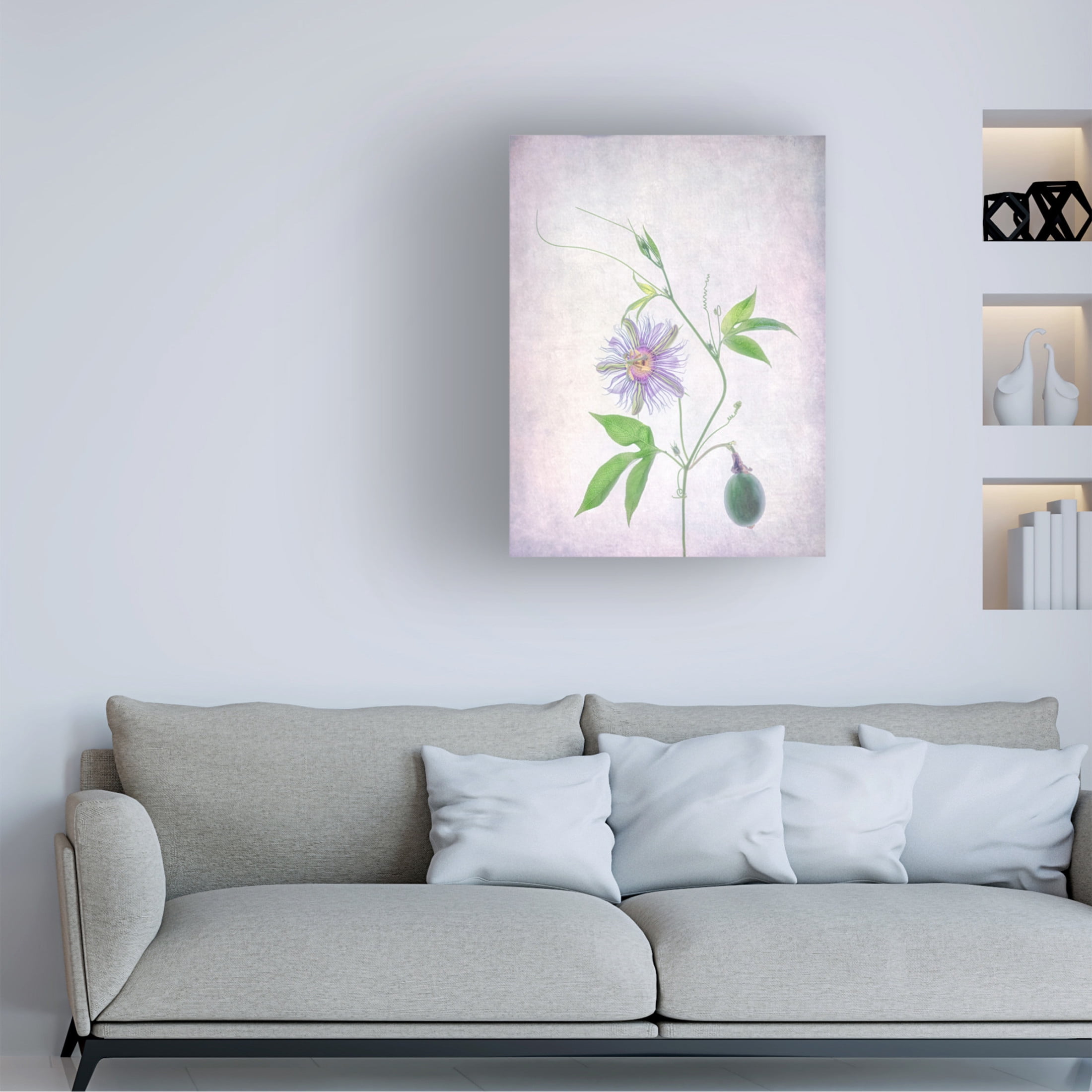 Canvas Wall Art - Catherine W 'Passion Fruit' Wall Art for Living Room, Bedroom, or Office Décor by Trademark Fine Art - 35 x 47 Inches