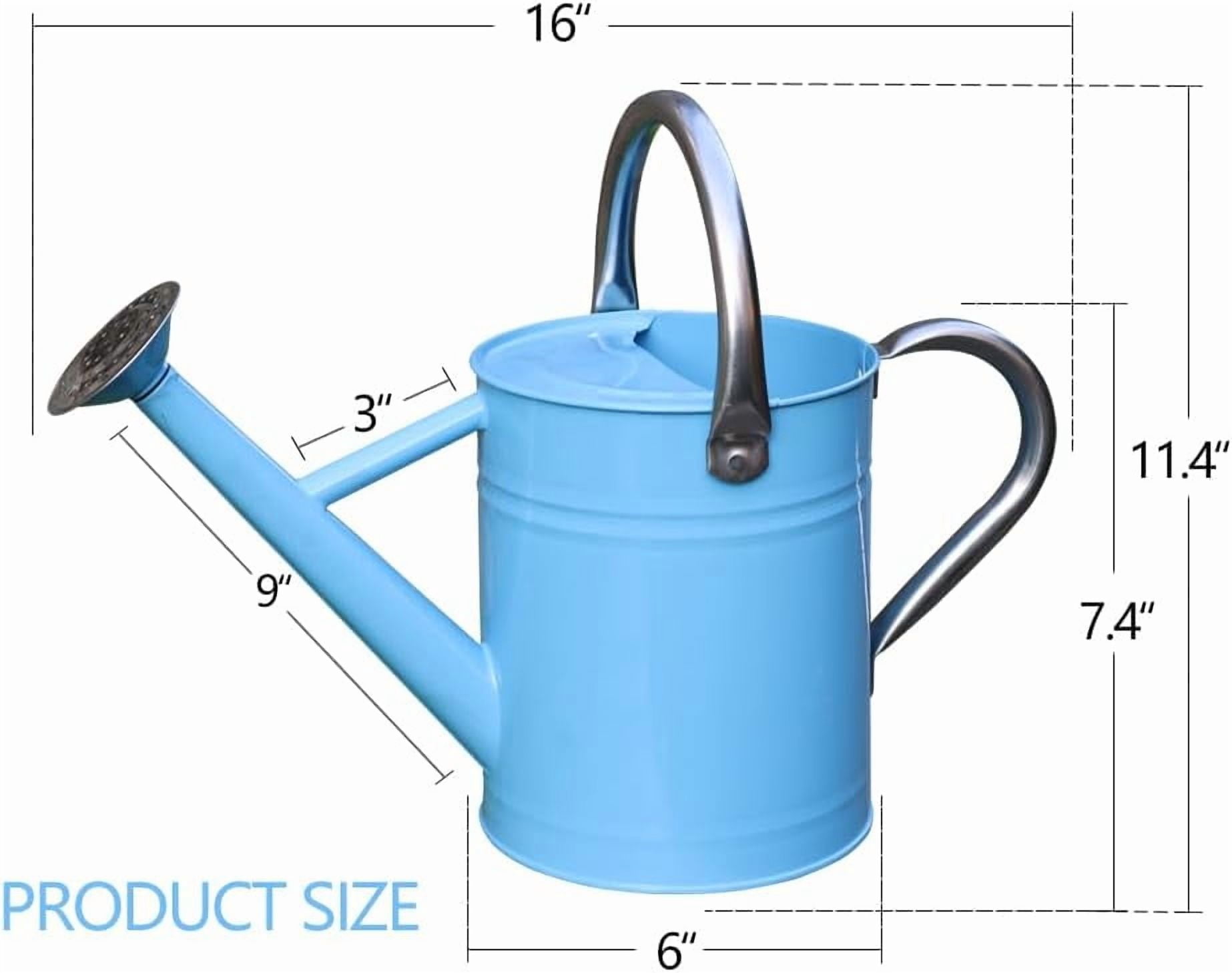 Metal Watering Can, One Gallon Watering Cans Stainless Steel for Outdoor Indoor Garden Plants Watering (Stainless Steel Handle Blue)