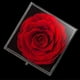 thumbnail image 2 of Ideas de regalos de rosa eterna para el día de la madre, regalo de aniversario Día de San Valentín Boda Día de la madre para esposa mamá, regalos románticos de cumpleaños para el, 2 of 5