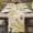 Beige, variant on Table Runner 90 Inches Long for Kitchen Dining, Spring Floral Dresser Scarf Farmhouse, Dining Table Decorations for Wedding/Parties, Watercolor Forsythia Flowers Hummingbirds Beige 13 x 90 In
