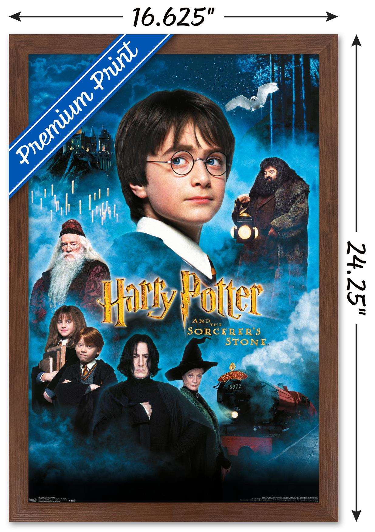 Harry Potter and the Sorcerer's Stone - Candles One Sheet Wall Poster, 14.725" x 22.375", Framed