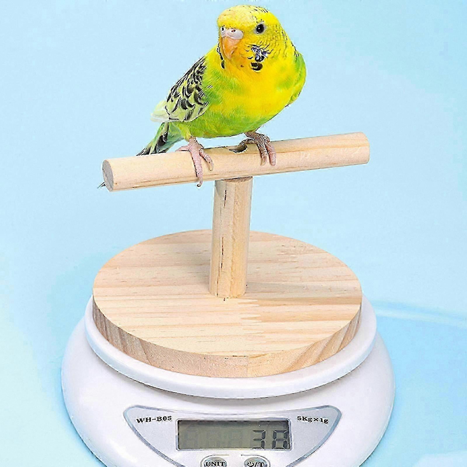 Digital Scale for Birds and Small Animals, 50kg Capacity, Multicolor Design