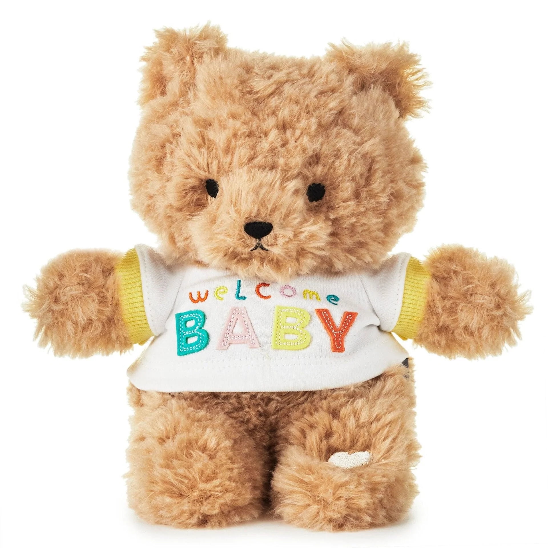 Welcome Baby Recordable Teddy Bear Stuffed Animal 8.75