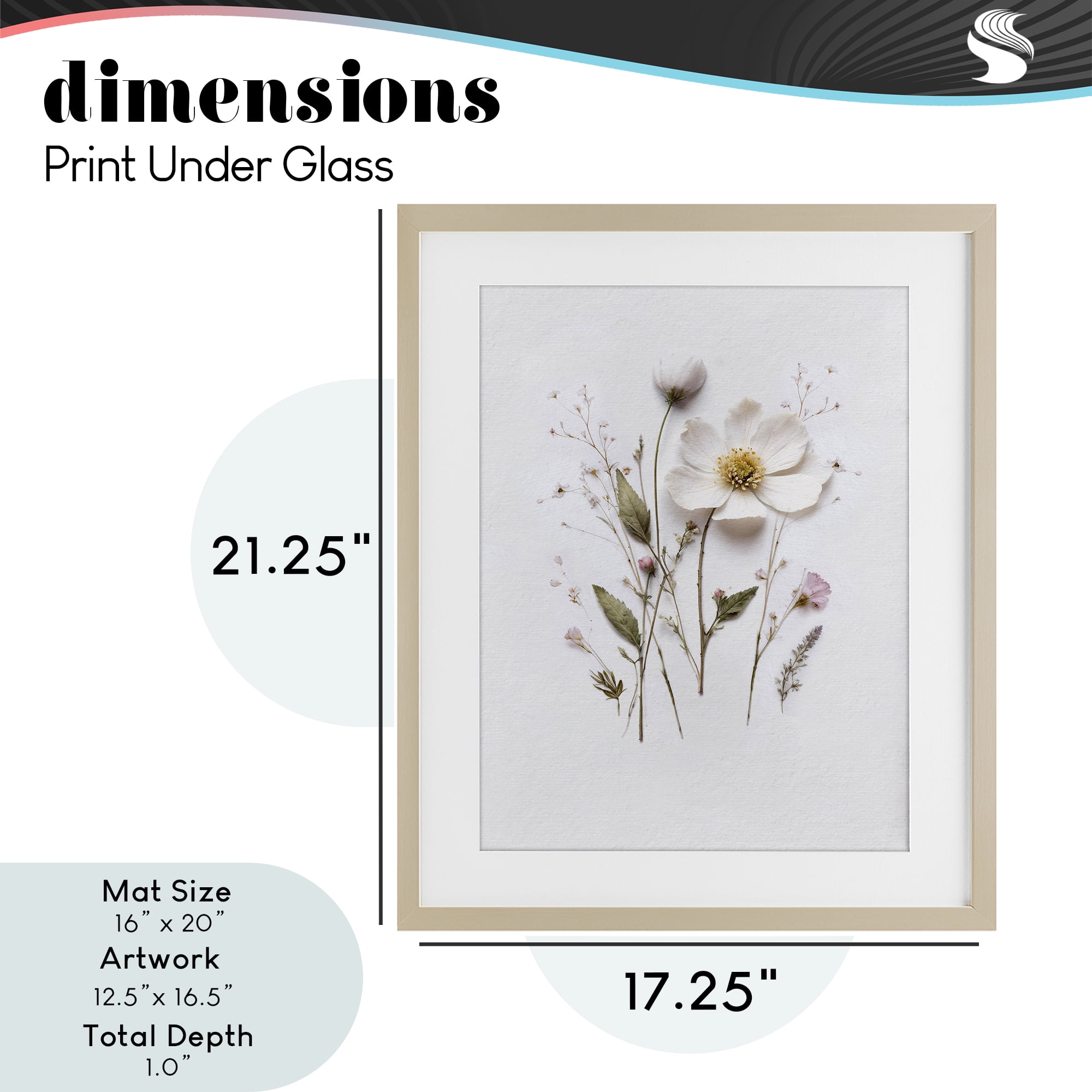Delicate Pressed Flower Sprigs Birch Framed Print Under Glass, design by Lettered and Lined