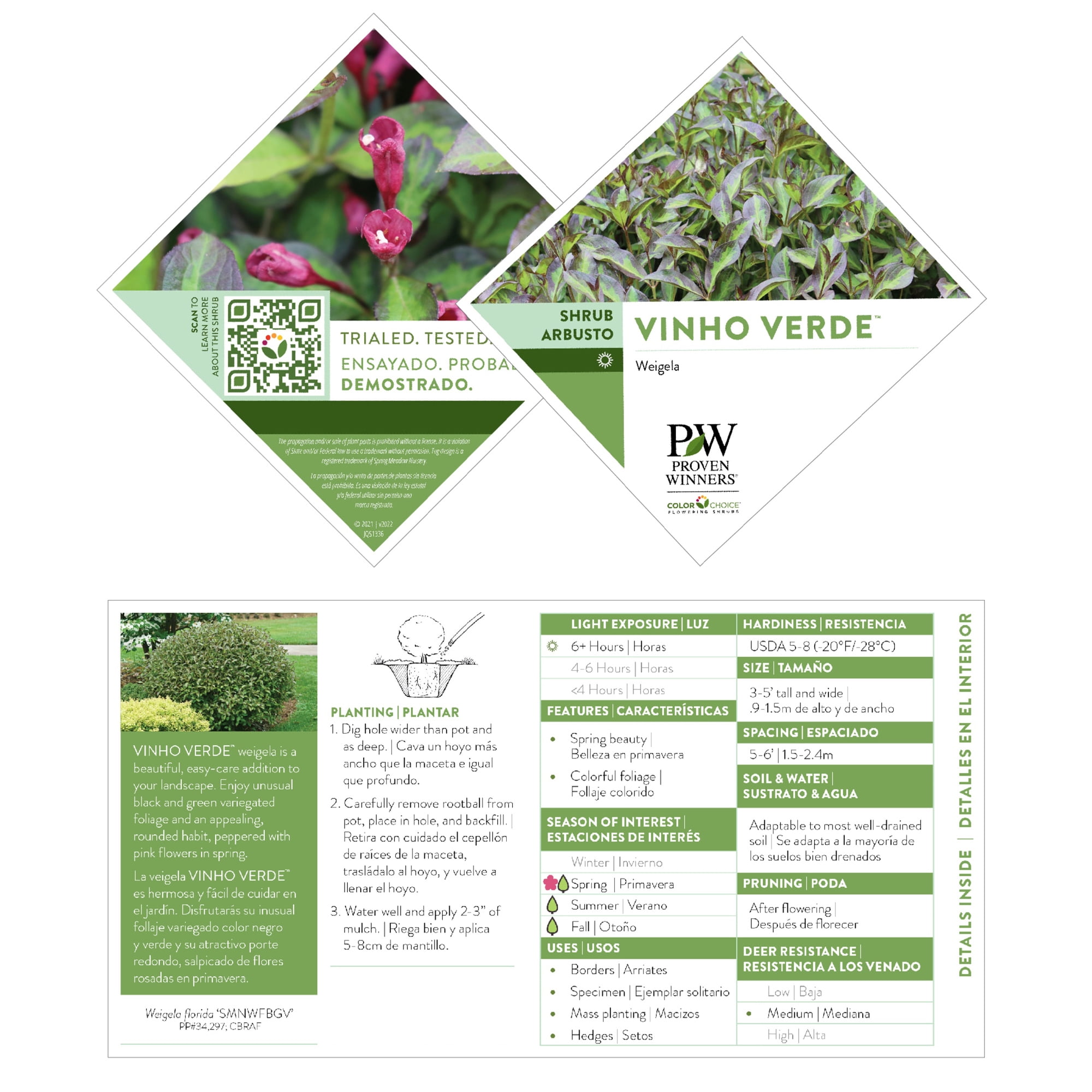 Proven Winners ColorChoice Vinho Verde Weigela Live Shrub (2 Gallon)