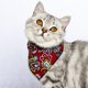 thumbnail image 1 of Nvzi Bandana para perro (1 unidad), ligera, de secado rápido, de mezcla de poliéster, con diseño triangular, ajustable, ideal para perros medianos y grandes, cachorros y mascotas, talla M, A15, 1 of 3