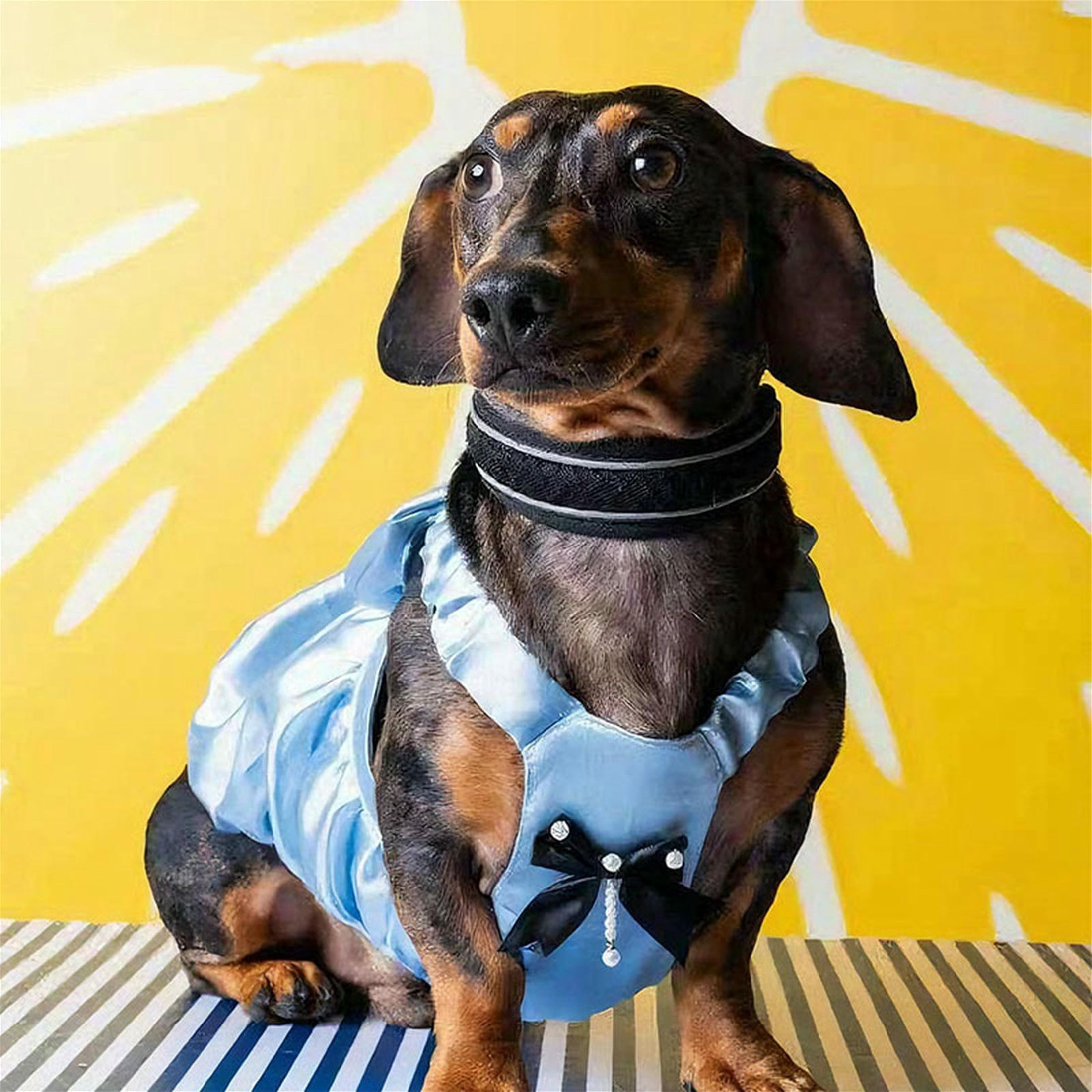 HQREA Dachshund Dog Dress Summer Girl Pretty Dog Wedding Party Skirt Outfits with Bow Valentine Clothes for Medium Large Dogs
