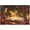 500 PCS, variant on 500 Piece Jigsaw Puzzle, Magic Book Bird and Rose Fantasy Scene, Challenging Game Home Decor Birthday Party Gift for Adults Seniors, 20.5" x 15"