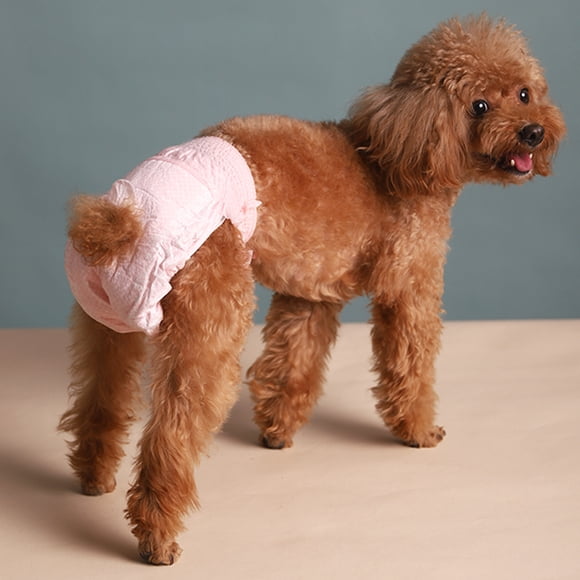 CBFFDC Elastic Leg Dog Diapers 10Pcs Stretchy Dog Diapers with Tail Hole Super Absorbent Leak proof Female Puppy Diapers for Incontinence Heat Period Training