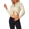 thumbnail image 4 of CAMISAS DE MODA DE SATÉN DE LEOPARDO PARA MUJERES CHIC CON MANGA LARGA Y BOTONES, BLUSAS CASUAL DE NEGOCIO, CHAMPÁN XL, 4 of 6