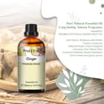 thumbnail image 3 of PHATOIL Ginger Essential Oil, 100% Pure and Natural Ginger Massage Oil for Diffuser and Aromatherapy, and DIY Soap Making, 1.01 Fl Oz, 3 of 7