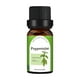 thumbnail image 1 of Clearance! 10ML Candle Unilateral Sweet Orange Aromatherapy Teatree Oil Lavender DIY Candle Material Oil-Soluble Aromatherapy Essentialoil, 1 of 2