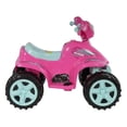 thumbnail image 5 of Montable Electrico Prinsel 4Runner Girl 6v, 5 of 5