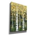 thumbnail image 2 of Epic Graffiti 'Birch Treeline II' by Jade Reynolds, Canvas Wall Art, 18"x26", 2 of 2