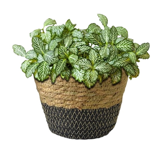 Bxaolu Plant Basket, 1-Pack Plant Basket Indoor with Plastic Liner, Woven Planters Flower Basket, Planter Basket for Rustic Boho Home Farmhouse Floor Potted Pots Decor (L, Black)