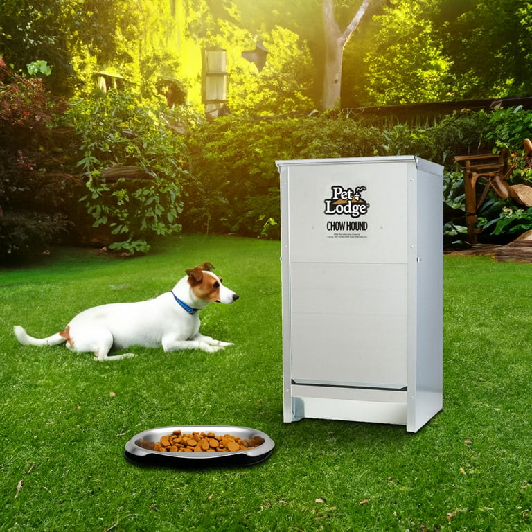 Chow hound dog food hot sale