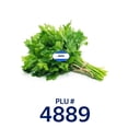 thumbnail image 3 of Fresh Whole Green Cilantro Bunch, Fresh Produce, 3 of 3