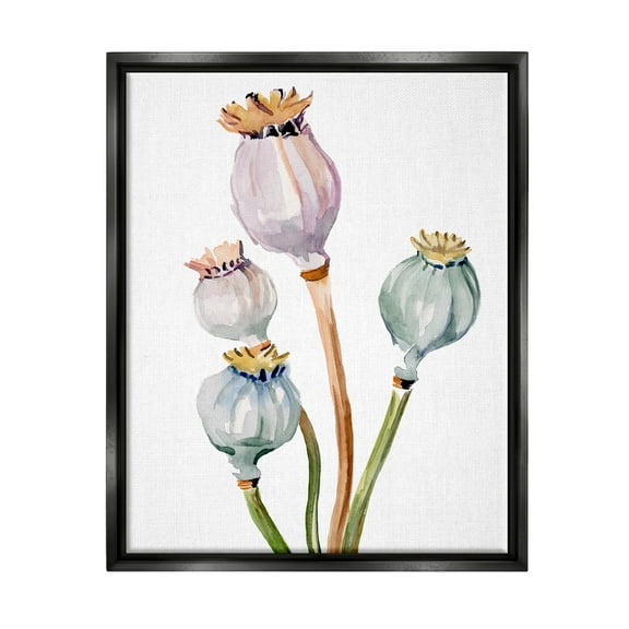 Stupell Industries Pastel Poppy Pods Watercolor Botanical & Floral Painting Black Floater Framed Art Print Wall Art