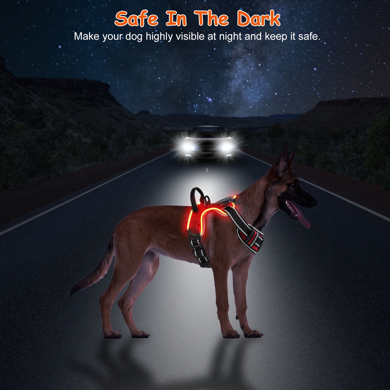 iMounTEK LED Dog Harness No Pull Rechargeable Light Up Pet Vest Harness, Green, M