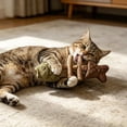 thumbnail image 6 of Kiddiway Cat Chew Toys Three Flavors - Purriq Natural Cat Sticks That Clean Teeth, Interactive Cat Toy Fishbone for Indoor Cats, Cat Toys Interactive,green, 6 of 7
