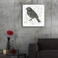 thumbnail image 5 of Epic Art 'Bird Element I' by Courtney Prahl, Acrylic Glass Wall Art, 24"x24", 5 of 8