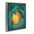 thumbnail image 4 of Stupell Industries Citrus Fruit on Branch Food & Beverage Painting Gray Floater Framed Canvas Art Print Wall Art, 18 x 18, 4 of 10