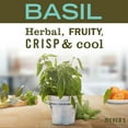 thumbnail image 5 of Mrs. Meyer's Clean Day Dish Soap Basil Scent - Liquid - 16 oz, 5 of 5