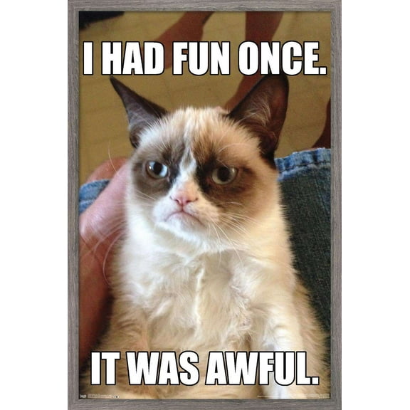 Grumpy Cat - Fun Wall Poster, 14.725" x 22.375", Framed