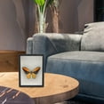 thumbnail image 4 of FENGGUIQU Black Glass Specimen Photo Frame Stylish for Home Decor 1Pc, 4 of 7