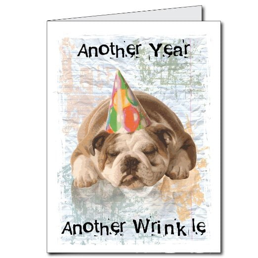 3'x4' Happy Birthday Funny Dog Wrinkle Giant Greeting Card w/Envelope - 3'x4' Happy Birthday Funny Dog Wrinkle Giant Greeting Card w/Envelope -