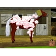 thumbnail image 3 of pony friends - nintendo ds, 3 of 10