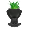 thumbnail image 1 of Lazy Mans Mini Planter Decorative Pot Effortless Dummy Self Watering Indoor Desktop Ornament For Home, 1 of 7