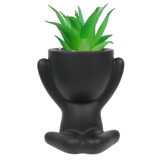 Desktop Ornament Elegant Lazy Man's Mini Planter with Dummy Easy Care Pots for Desktop and Ideas
