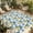 Blue, variant on Blue Flowers Outdoor Rug for Patio/Deck/Porch, Non-Slip Large Area Rug 5 x 7 Ft, Yellow Lemons Summer Fruit Pastoral Indoor Outdoor Rugs Washable Area Rugs, Reversible Camping Rug Carpet Runner