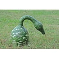 thumbnail image 6 of 15 Seeds GOOSENECK / Bottle / SWAN GOURD Lagenaria Siceraria Vine Seeds, 6 of 11