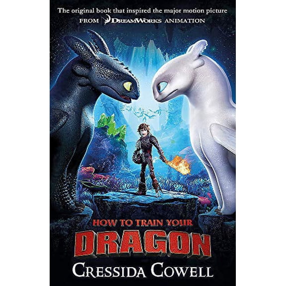 How to Train Your Dragon