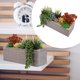 thumbnail image 3 of Simulación de decoración del hogar con plantas verdes Simulación de decoración con plantas en macetas, 3 of 7