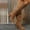 Khaki, variant on Daolelai Women's Casual Vintage Solid Color Side Zipper Heel High Heel Western Knight Knee-High Boots