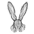 thumbnail image 2 of Cosplay Diadema Con Orejas De Conejo, Suave Y Cómoda Buena Elasticidad Diadema Con Orejas De Conejo Con 1 Pieza Para La Vida Diaria Bodas, Fiestas Cergrey Negro, 2 of 8