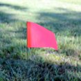 thumbnail image 2 of GFDYREE Tool Co FRG15100 2.5-Inch by 3.5-Inch Marking Flags with 15-Inch Wire Staffs, Red, 100-Pack, 2 of 7